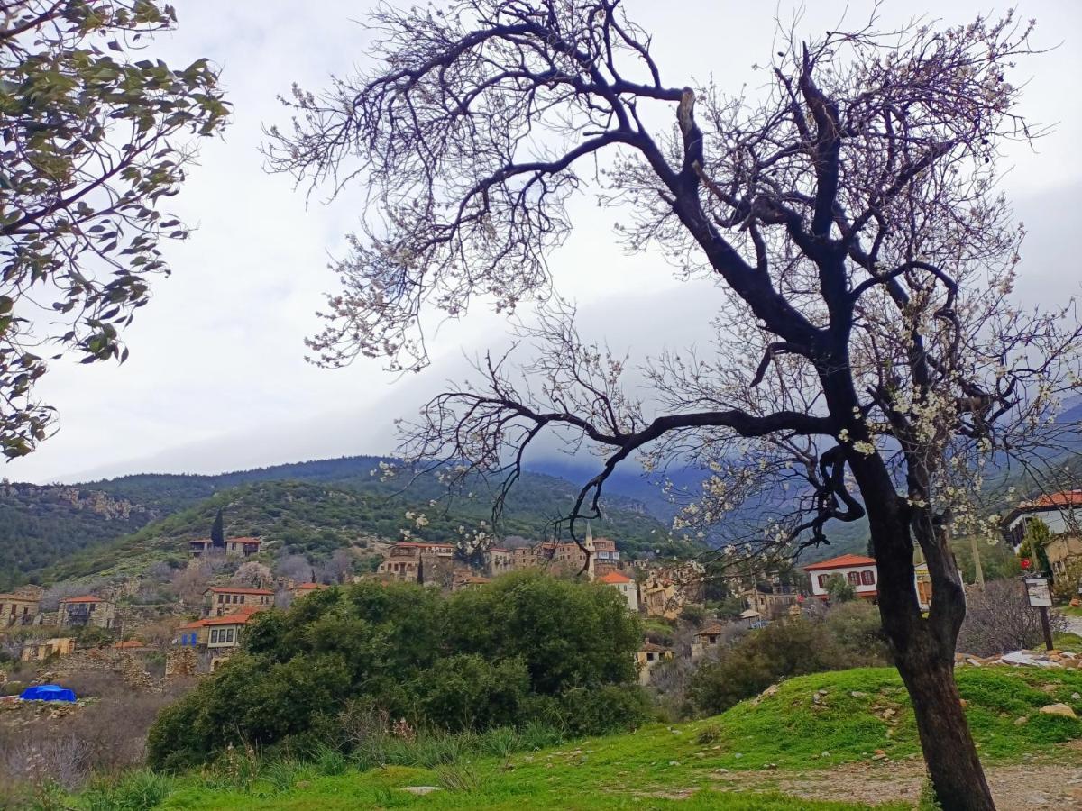 Puli Stone Houses Doğanbey エクステリア 写真